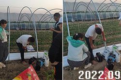 �r(n��ng)��(h��)��ԃ(x��n)�˽����Ԫ�؛_ʩ��